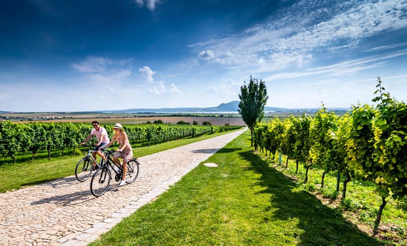 Cyklisté projíždějící krajinou jižní Moravy.